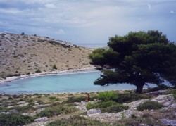 Clicca sull'immagine per ingrandirla