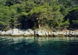 Clicca sull'immagine per ingrandirla