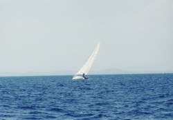 Clicca sull'immagine per ingrandirla
