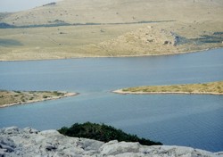 Clicca sull'immagine per ingrandirla