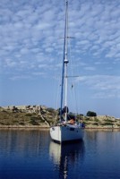 Clicca sull'immagine per ingrandirla