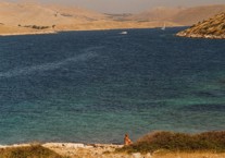 Clicca sull'immagine per ingrandirla