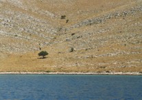 Clicca sull'immagine per ingrandirla