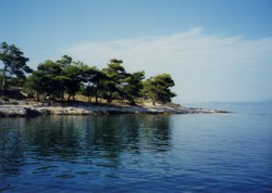 Clicca sull'immagine per ingrandirla