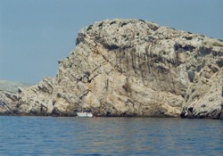 Clicca sull'immagine per ingrandirla