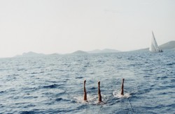 Clicca sull'immagine per ingrandirla